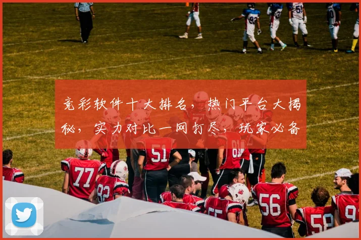 竞彩软件十大排名，热门平台大揭秘，实力对比一网打尽，玩家必备