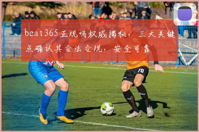 beat365正规吗权威揭秘，三大关键点确认其合法合规，安全可靠