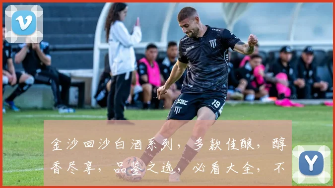 金沙回沙白酒系列，多款佳酿，醇香尽享，品鉴之选，必看大全，不容错过，