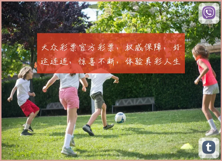 大众彩票官方彩票，权威保障，好运连连，惊喜不断，体验真彩人生